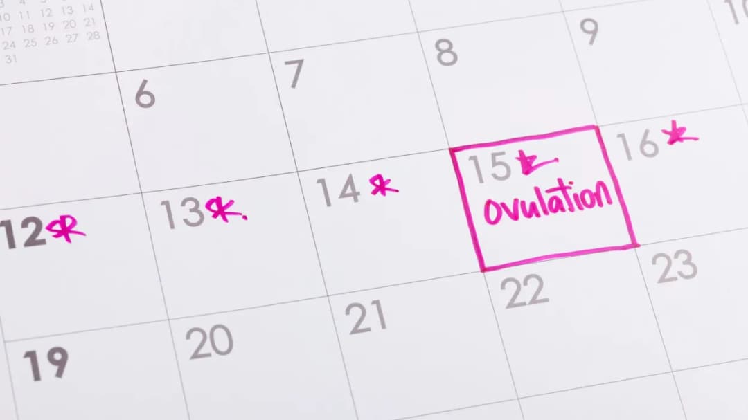 Ovulation tracking peak fertility vs. high fertility vs. fertile window