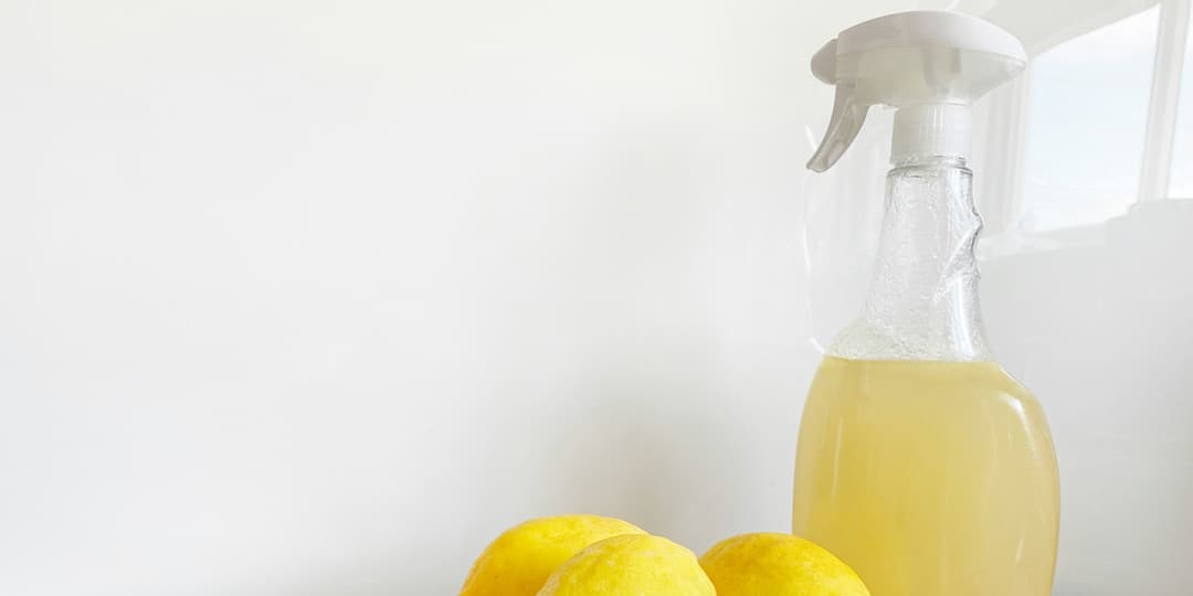 endocrine disruptor tips for fertility
