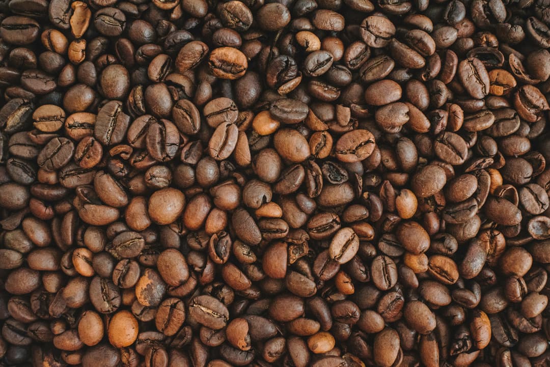 coffee fertility egg quality