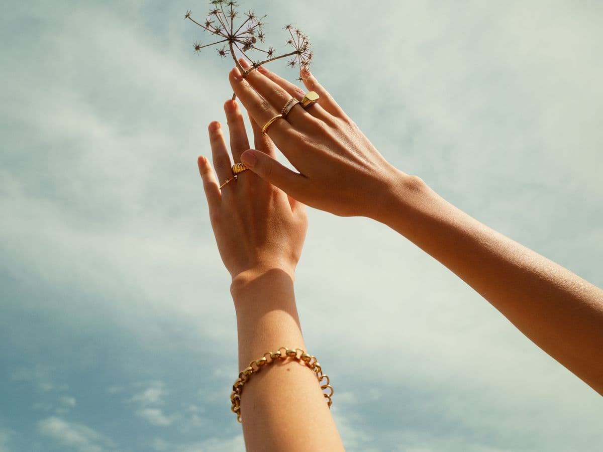 Hands reaching toward a soft sky, holding a wildflower