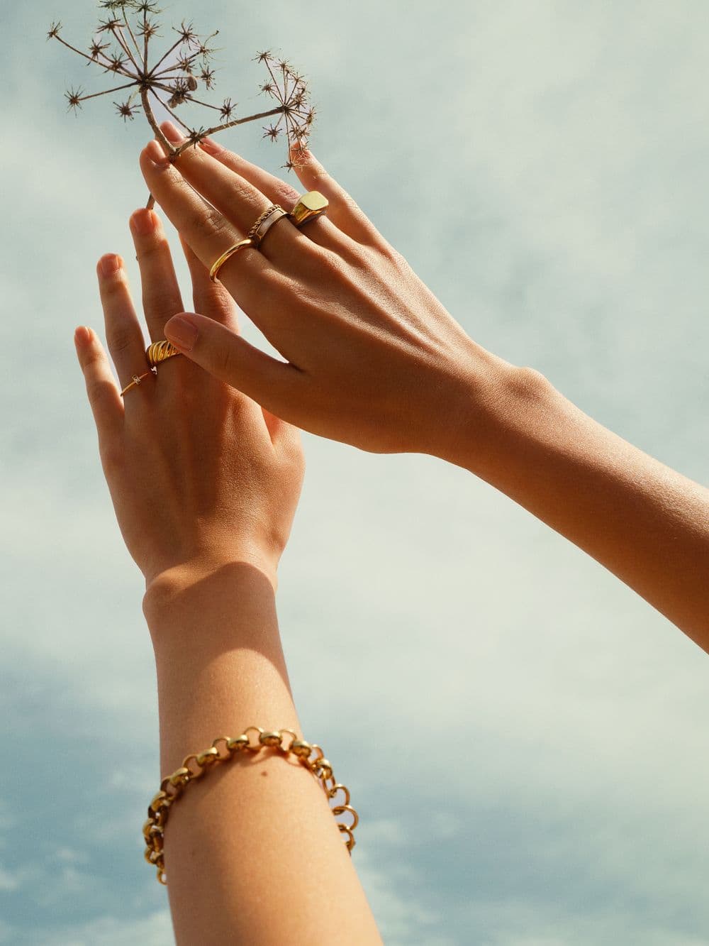 Hands reaching toward a soft sky, holding a wildflower